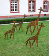 Giraffenherde