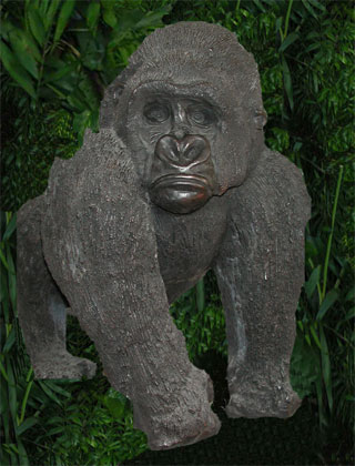 Gorilla