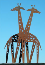 Giraffenpaar